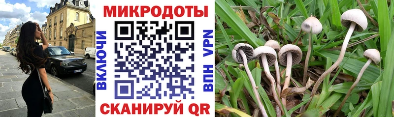 Псилоцибиновые грибы мицелий  Купить закладки  Сольвычегодск 
